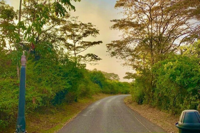 Safari Tour; Nairobi National Park 2