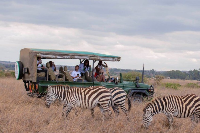 Safari Tour; Nairobi National Park 1