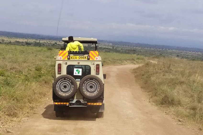 Safari Tour; Nairobi National Park 4