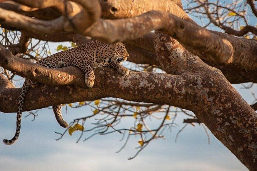 Safari Tour; Nairobi National Park 3
