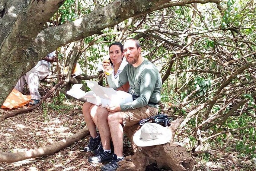 Safari Tour; Nairobi National Park 3