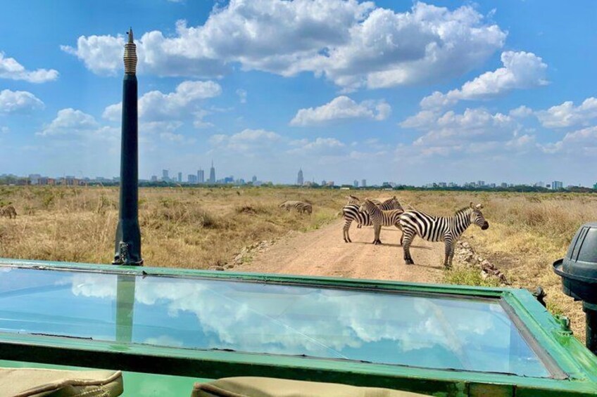 Safari Tour; Nairobi National Park 5