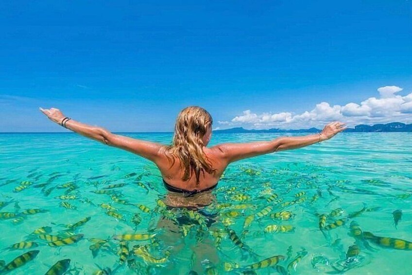 Phi Phi and Khai Islands Snorkeling Tour with Lunch by Speedboat 2