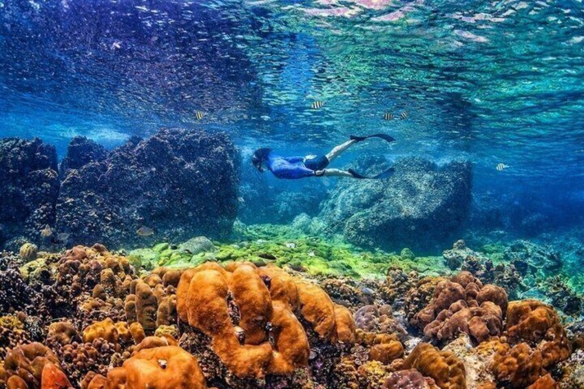 Private Phi Phi and Khai Islands Snorkeling Tour by Speedboat 5
