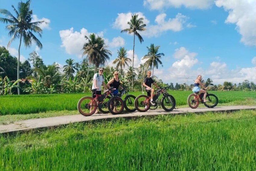 Electric Bike Tour in Ubud 1
