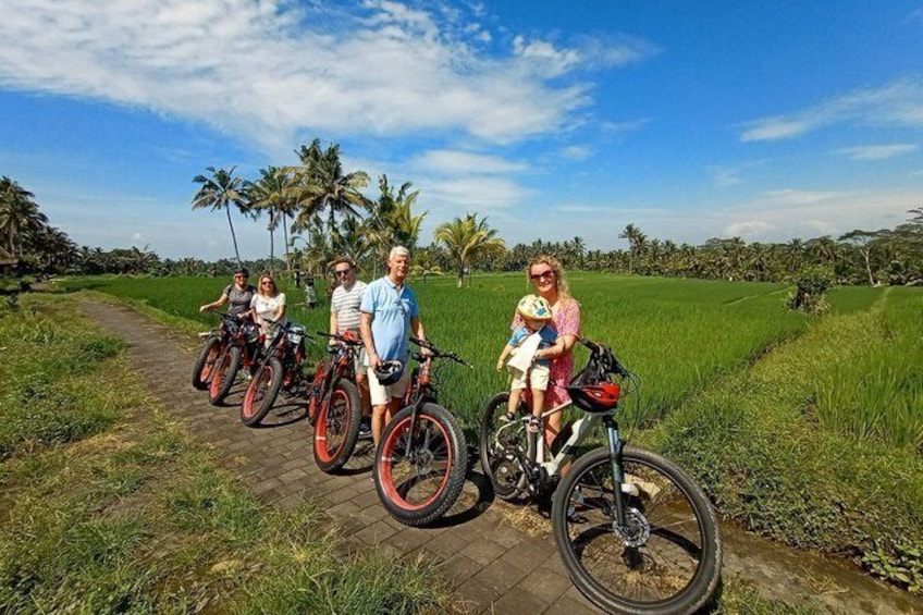 Electric Bike Tour in Ubud 3