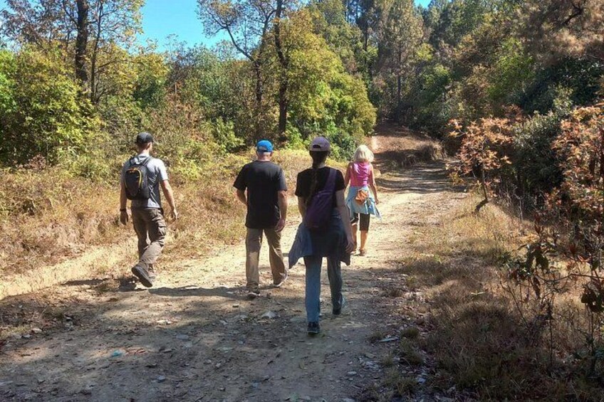 Hiking to Nagarkot 5