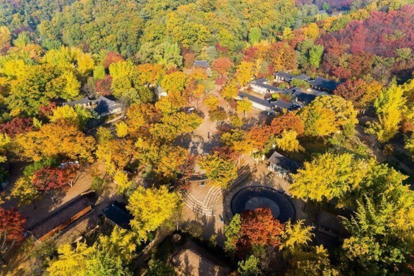 Korean Folk Village and Suwon Hwaseong Fortress Full Day Tour 5