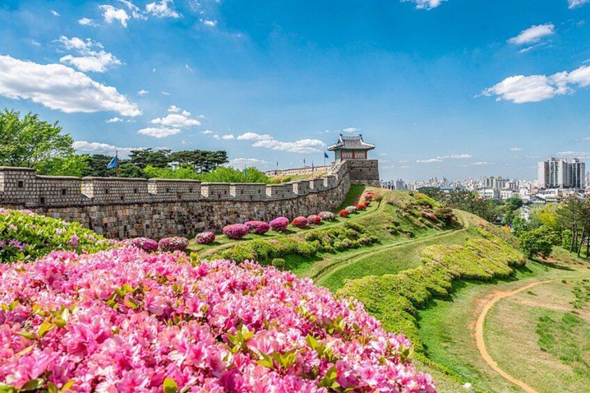Korean Folk Village and Suwon Hwaseong Fortress Full Day Tour 3