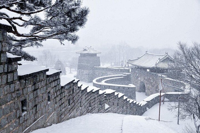 Korean Folk Village and Suwon Hwaseong Fortress Full Day Tour 2