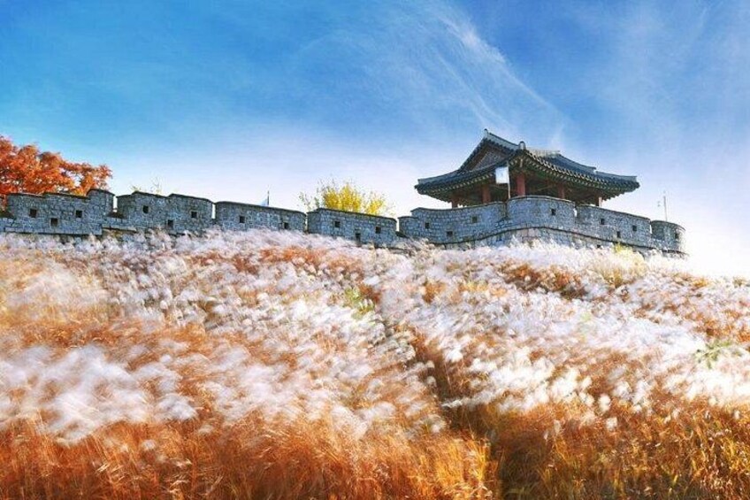 Suwon Hwaseong 5