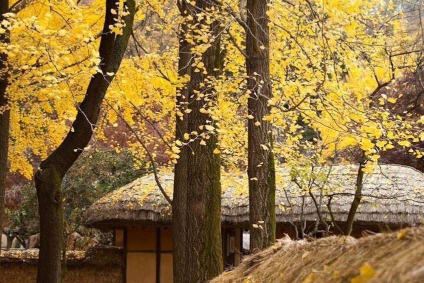 Korean Folk Village and Suwon Hwaseong Fortress Full Day Tour 4