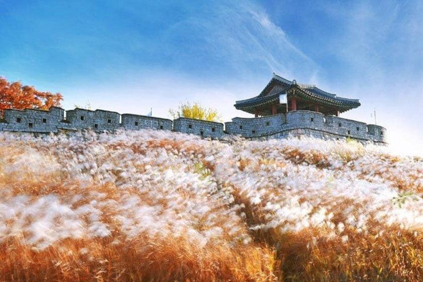 Suwon Hwaseong 3