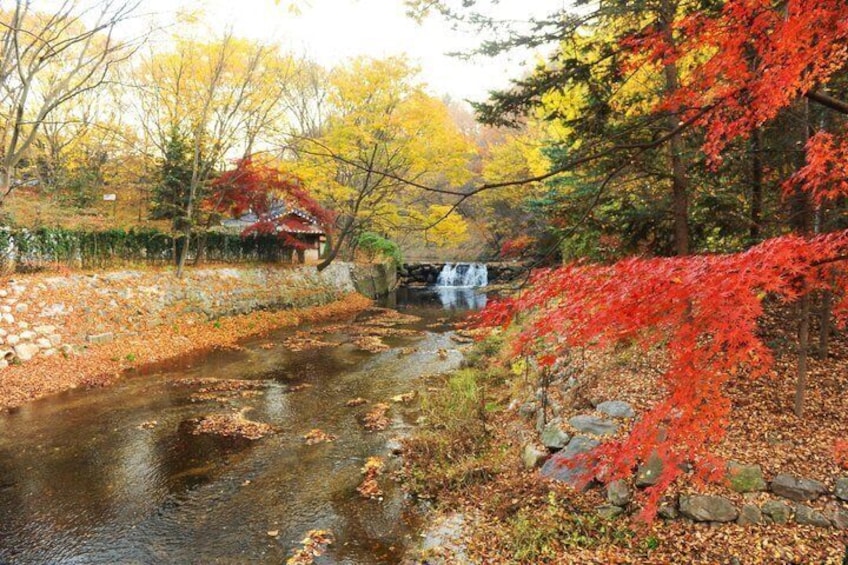 Korean Folk Village and Suwon Hwaseong Fortress Full Day Tour 3