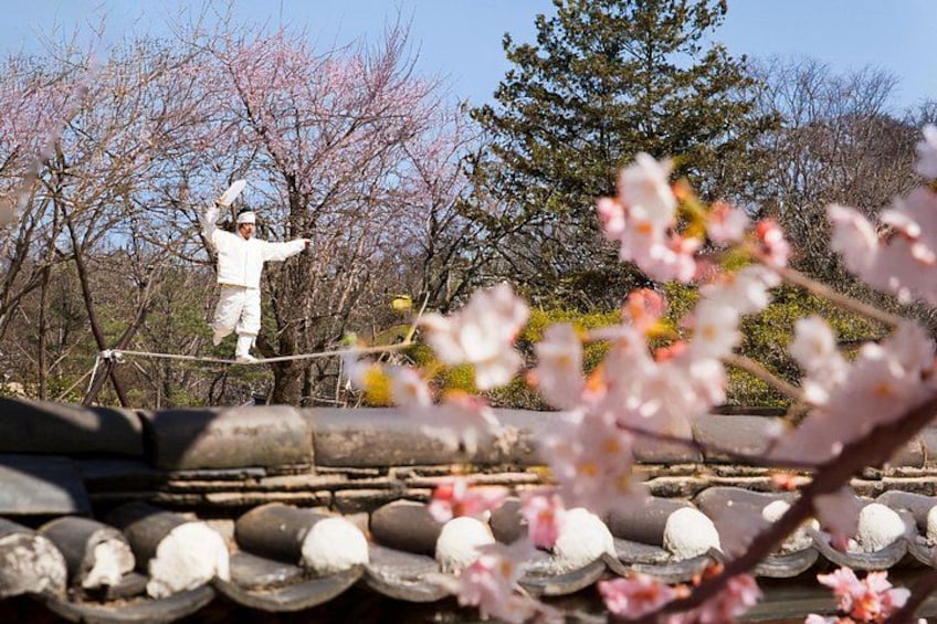 Korean Folk Village and Suwon Hwaseong Fortress Full Day Tour 3