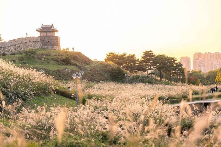 Suwon Hwaseong 2