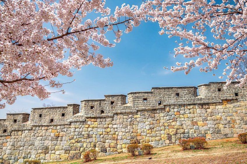 Korean Folk Village and Suwon Hwaseong Fortress Full Day Tour 4