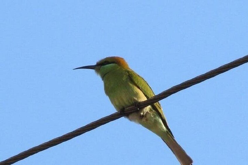 Karnala Bird Sanctuary Excursion From Mumbai 2