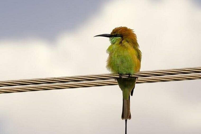 Karnala Bird Sanctuary Excursion From Mumbai 3