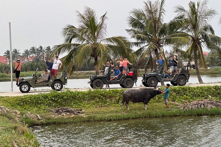 A group of people on a jeepney, a bull, and a river with palm trees in the background. 3