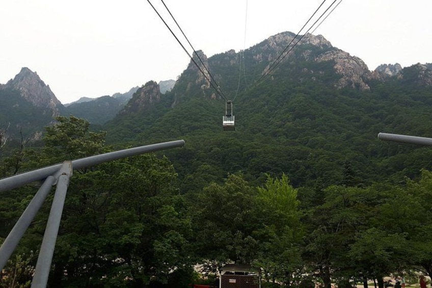 Un réseau de téléphériques dans une région montagneuse, caractérisée par une végétation luxuriante et un terrain rocheux. 2