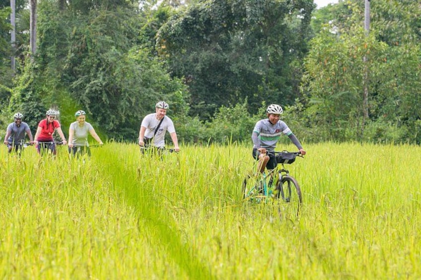 Een groep fietsers rijdt door een veld met hoog gras. 4
