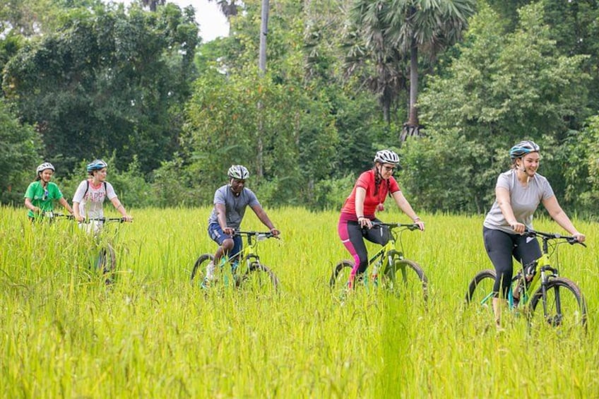 Een groep fietsers rijdt door een grasveld, met bomen op de achtergrond. 3