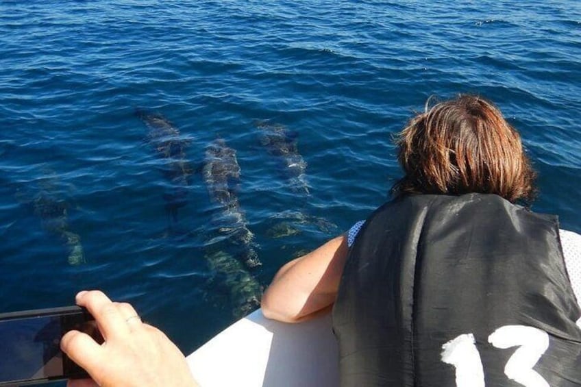 Una persona con chaleco salvavidas negro en un bote, observando delfines nadando en el agua. 5