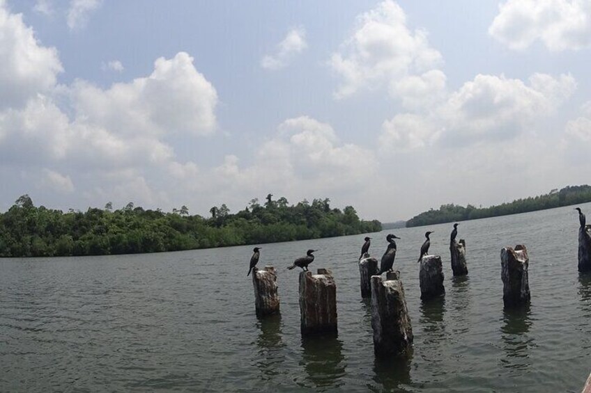 Koggala Lake Tour