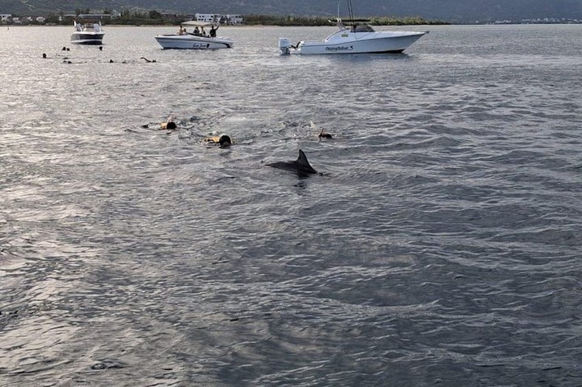 Una masa de agua con varias embarcaciones y un tiburón nadando. 4