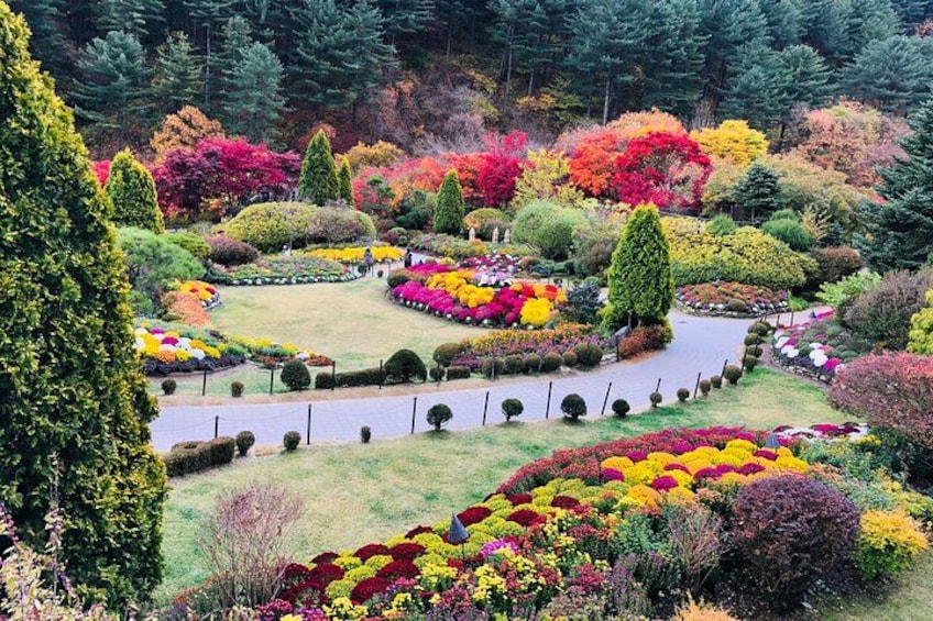 Garden of Morning Calm 2