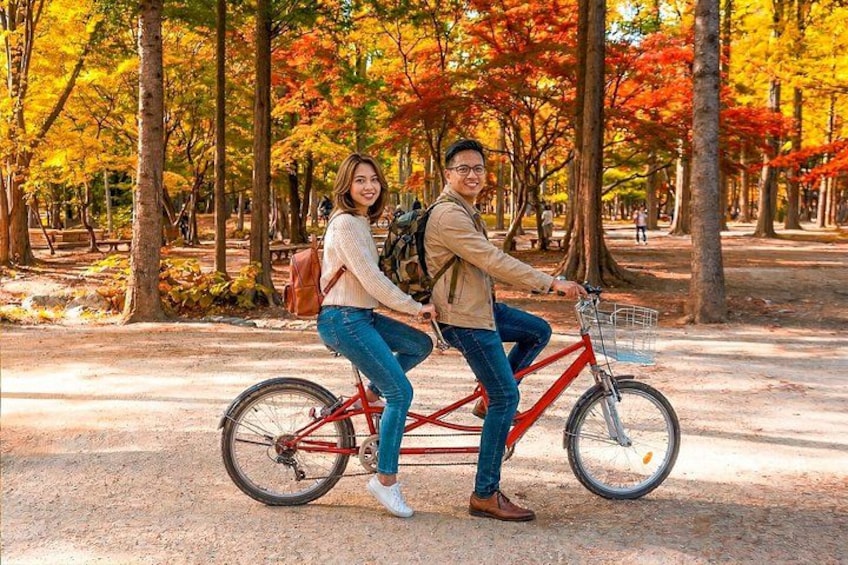 Mt. Seorak+Nami Island+Garden of Morning Calm Day Trip from Seoul 3