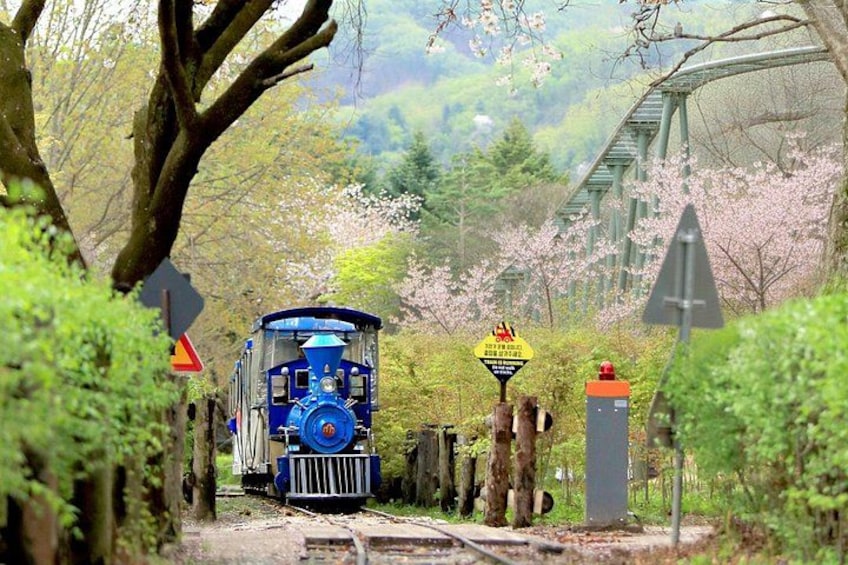 Nami Island 2