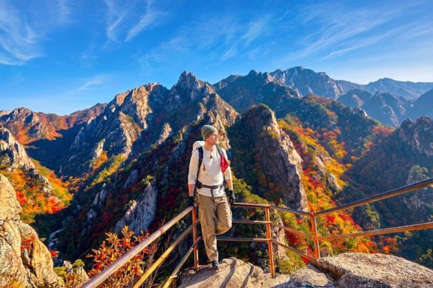 Mt. Seorak+Nami Island+Garden of Morning Calm Day Trip from Seoul 5