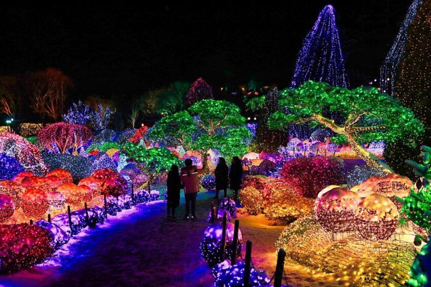 A nighttime garden with illuminated trees and bushes. 3