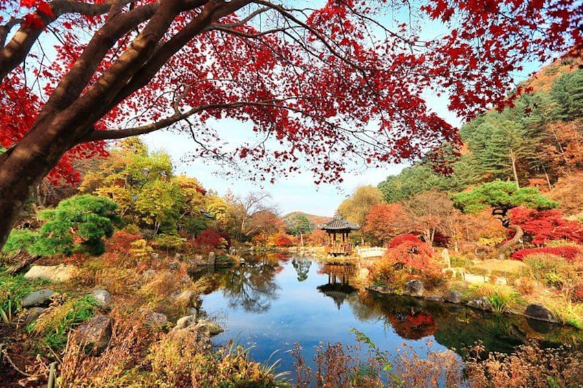 A serene pond surrounded by autumn foliage, a wooden gazebo, and a variety of trees. 4