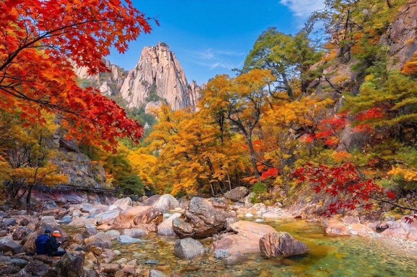 Mt. Seorak+Nami Island+Garden of Morning Calm Day Trip from Seoul 2
