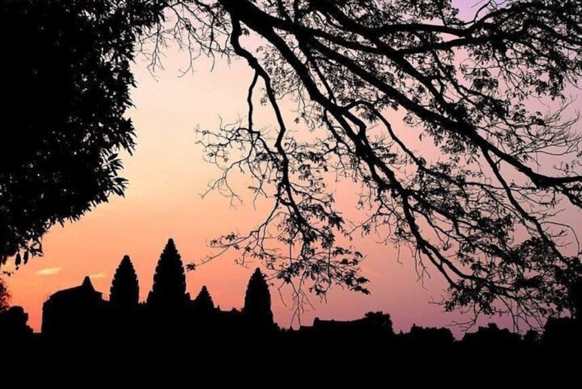 A silhouette of a city skyline at sunset with trees in the foreground. 1