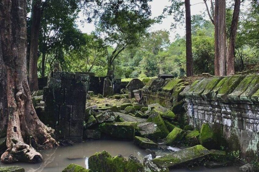 A forested area with ancient stone structures and a small stream. 5