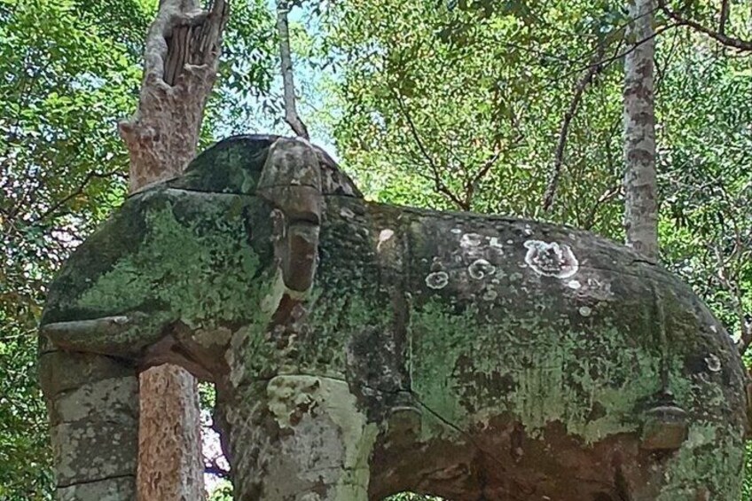 A large rock with carvings, surrounded by trees. 3