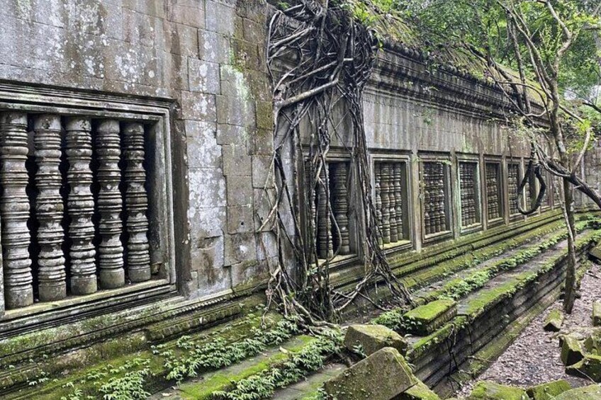 A weathered stone structure with ornate windows and overgrown vegetation. 2