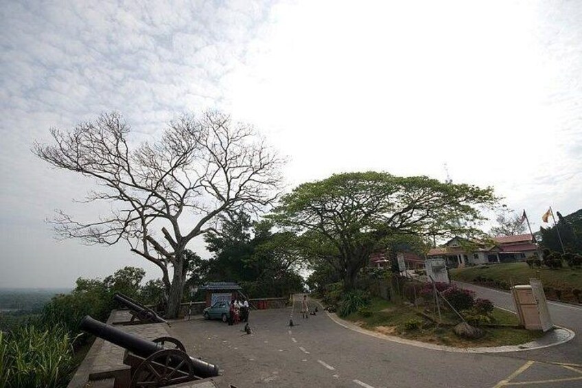 Une zone pavée avec un grand arbre, un bâtiment et un mât de drapeau. 3