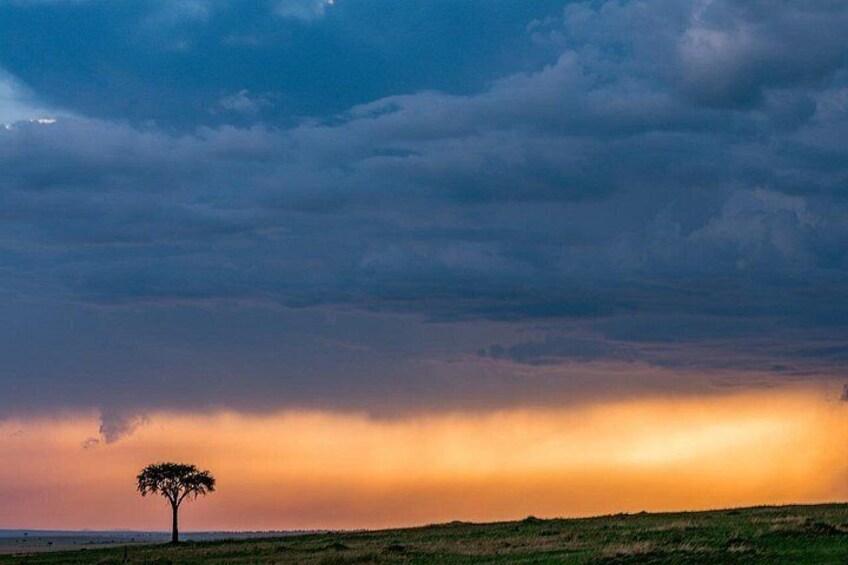 4 days group joining budget safari to Maasai Mara only 3