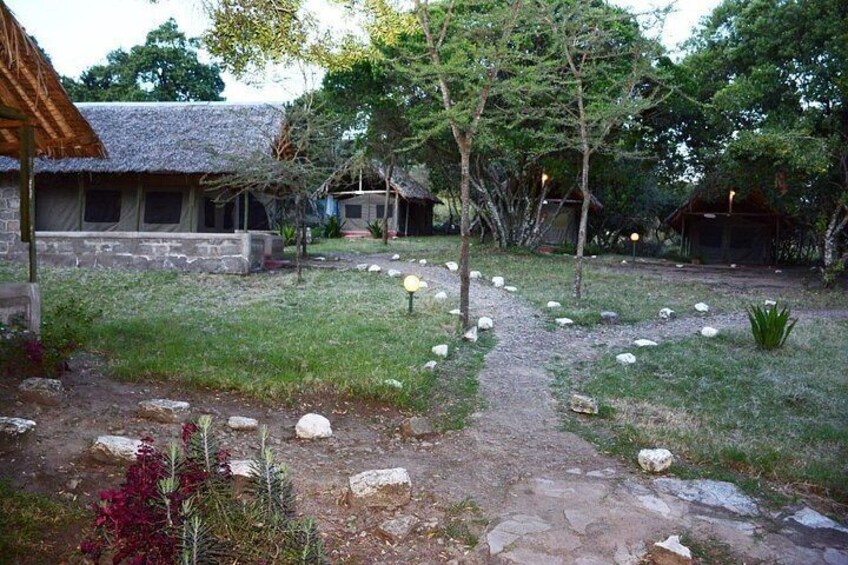 4 days group joining budget safari to Maasai Mara only 5