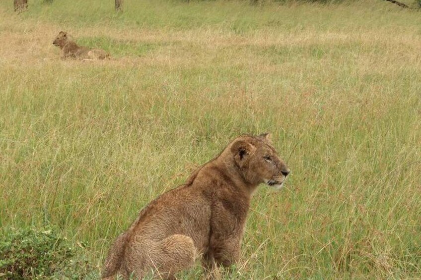 The beautiful Maasai Mara