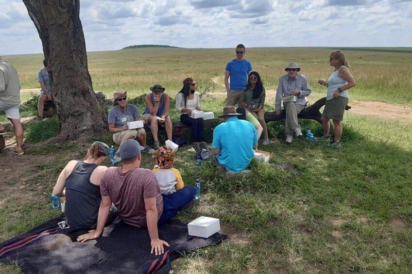 A group of people sitting on a blanket outdoors, with a tree and grassy field in the background. 4