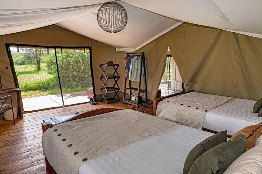 3 days Masai Mara private safari in AA lodge 2
