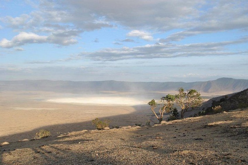 A desert landscape with sparse vegetation, a clear sky, and distant mountains. 5
