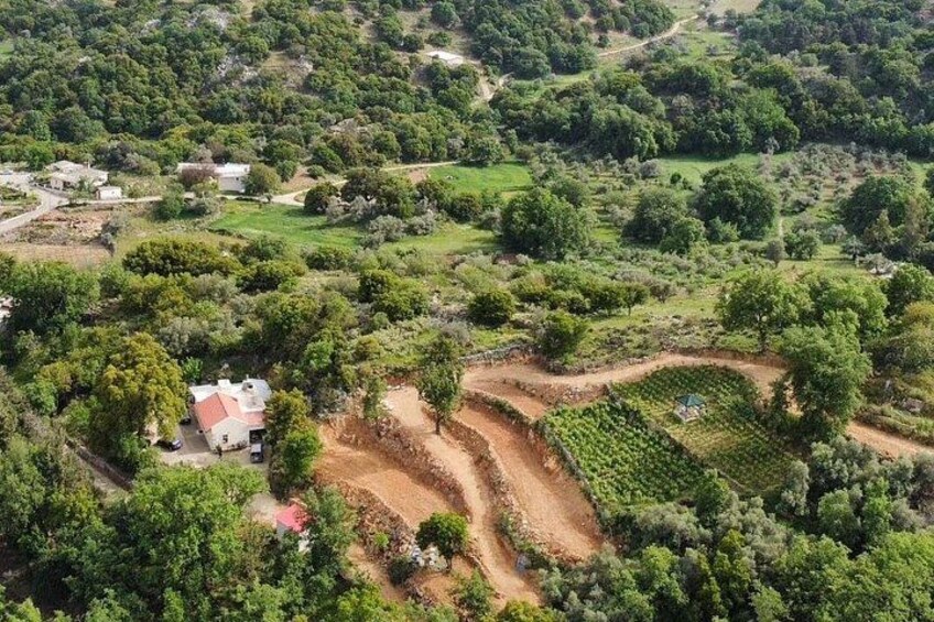 Paisaje rural con campos en terrazas, un edificio de techo rojo y árboles dispersos. 4
