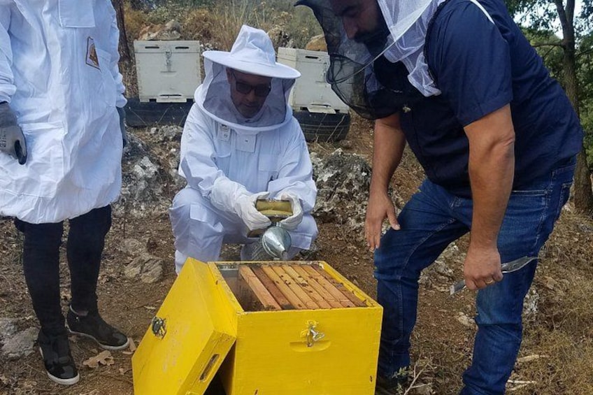 Una persona con traje protector blanco manipulando abejas en una colmena amarilla. 1